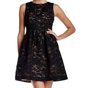 NWT Vince Camuto fit and flare dress